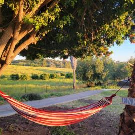 Relaxing Farm Vibes Near Safari Zoo, Legoland & Wineries Escondido
