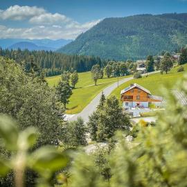 Ferienhaus Dachsteinheim, hotel in Filzmoos