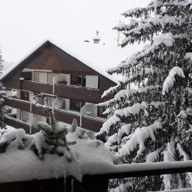 Apartment Bergblick 2
