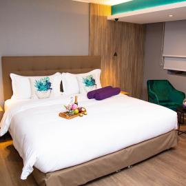 Palmetto Hotel Business San Borja