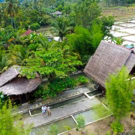 Tropical Jungle lodge & Jungle trekking