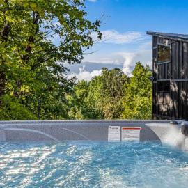 Little Bear Lodge, 3BR2BA private cabin in Cosby, TN Gorgeous outdoor space, fire pit, hot tub