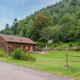 La Ferme aux Myrtilles - Ancienne ferme vosgienne, hotel en Ventron