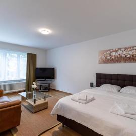 Amazing studio city center - Wille 4, готель у Цюріху