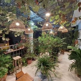 alleyhomestay 2