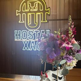 HOSTAL XAO, hotel v mestu Oaxaca City
