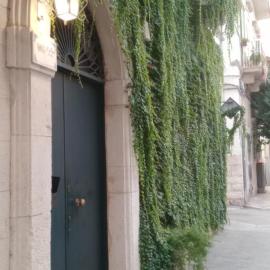 ALTANA DI TUFO: Molfetta'da bir otel