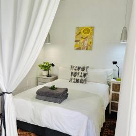 Agapanthus garden cottage