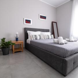 Luxury spacious apartment in the heart of the city