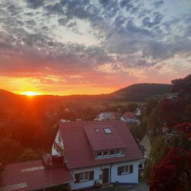 Fernblick