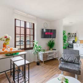 Grand logement 38m2, Aéroport Paris CDG, Disneyland Paris 20min, Parc Astérix, 1 Chambre, 1 Salon