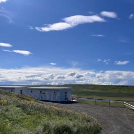 Stóra-Ásgeirsá Horse Farm Stay, hôtel à Víðigerði