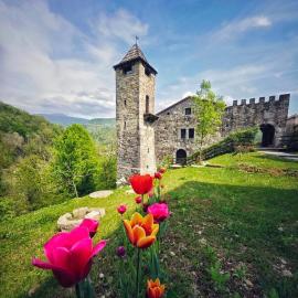 Incantevole rifugio nel castello di Ahrensperg, hotel in Pulfero
