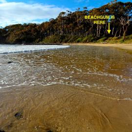 Beachgum, hotel a Sunshine Bay