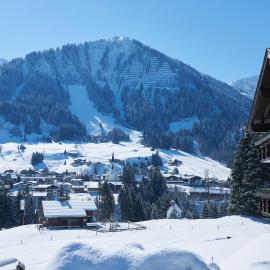 Boutique Hotel Herzhof - Garni-Appartements - Adults Only, hotel a Riezlern