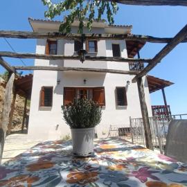Panorama