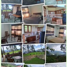 GladWin Holiday Rental