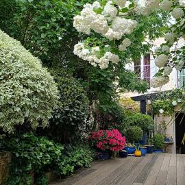 Buky Palace, hotel em Pons