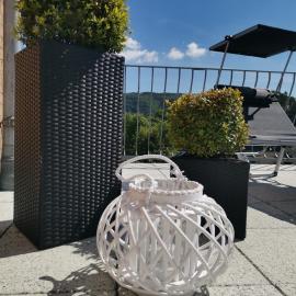 Wohnung TERRA, hotel u gradu 'Rurberg'