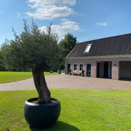 Appartement Zeldam