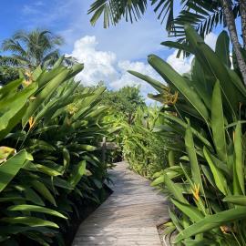 Eden Paradise Spa Ecolodge, hotel i Sainte-Luce