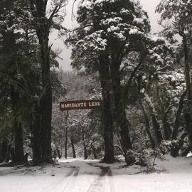 Cabañas Mawidantu Lemu, hotel sa Las Trancas