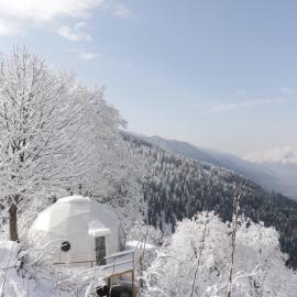 GlampEco Manali, ξενοδοχείο σε Manāli