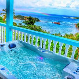 Blue Whale Villa - Penthouse, Hotel in Calibishie