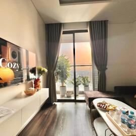 Cosy homestay and apartment