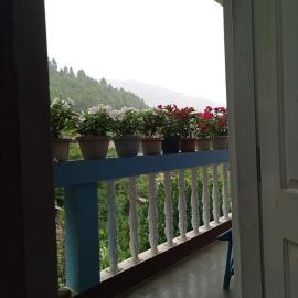Pema HOMESTAY