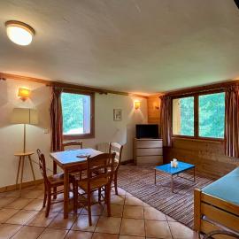 Apartment le France, hotel en Mussillon