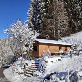 Ferienhaus Strauss, hotel in Westendorf