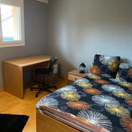 Chambre spacieuse à louer dans une maison calme avec un grand jardin, hôtel à Bulle