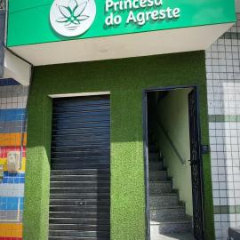 Pousada Princesa do Agreste, hotel i Passa e Fica