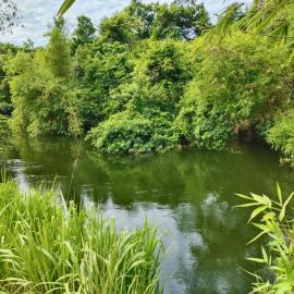 ECO Canal Suite, hotel in Polonnaruwa