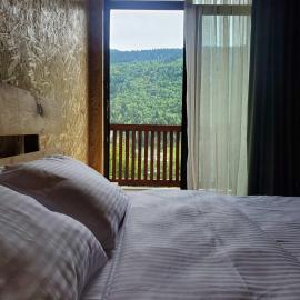 Eco Garden family hotel Svaneti，梅斯蒂亞的飯店