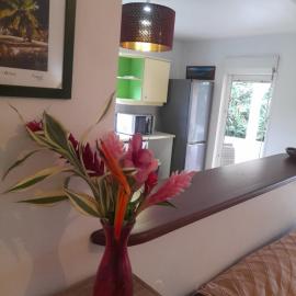 Appartement spacieux quartier calme de Sofaia
