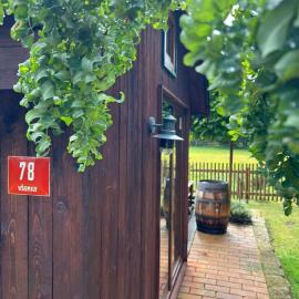 Tiny House Všemily, hotel in Jetřichovice