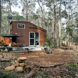 Luxury Tiny Homes in the Forest