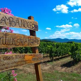 Agriturismo La Rondine