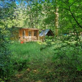 The Shack in the Woods- Off Grid, hotel di Redditch