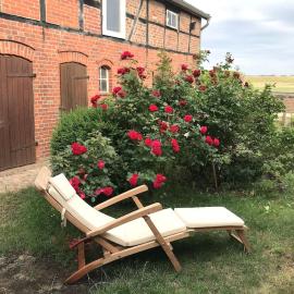 Fachwerk-Fischerhaus an Elbe und Aland, hotel v destinaci Schnackenburg