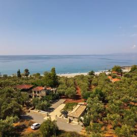olive grove by the sea 30m from the beach