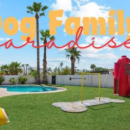 Dog Family Paradise