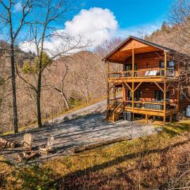 A Treehouse View Over Lake