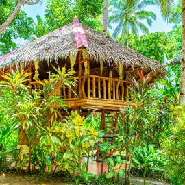 Water to Forest Ecolodge, hotel sa Loboc