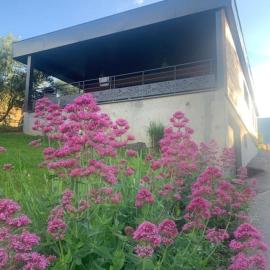 la cabane de Maud, hotel i Brison-Saint-Innocent