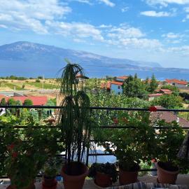Taku Villa Wonderful view of Lake Ohrid, hotel in Udënisht