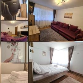 Family Residence Slănic-Moldova