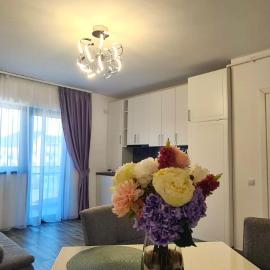 Apartament Giulio 2, hotel a Şelimbăr
